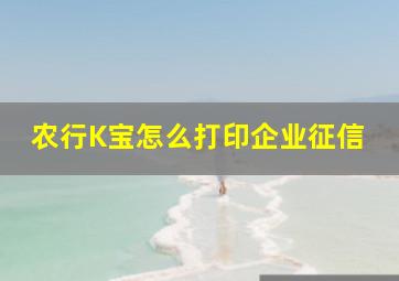 农行K宝怎么打印企业征信