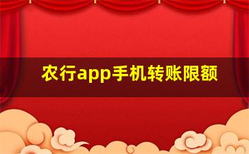 农行app手机转账限额