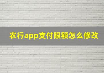 农行app支付限额怎么修改