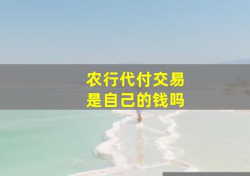 农行代付交易是自己的钱吗