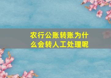 农行公账转账为什么会转人工处理呢