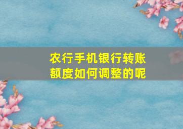 农行手机银行转账额度如何调整的呢