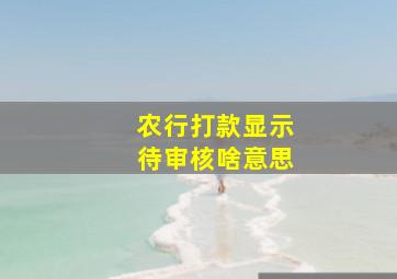 农行打款显示待审核啥意思