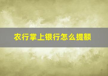 农行掌上银行怎么提额