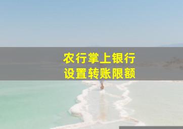 农行掌上银行设置转账限额