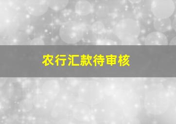 农行汇款待审核