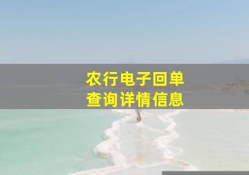 农行电子回单查询详情信息