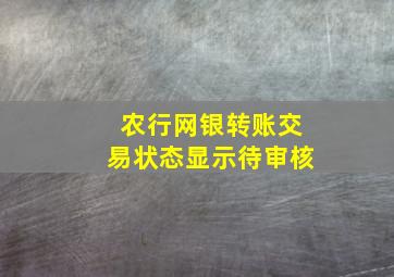 农行网银转账交易状态显示待审核