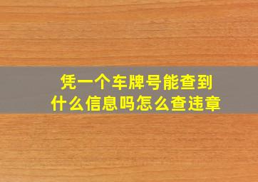 凭一个车牌号能查到什么信息吗怎么查违章