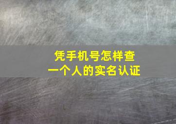 凭手机号怎样查一个人的实名认证