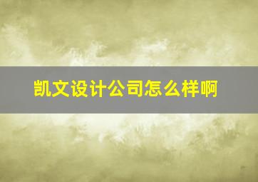 凯文设计公司怎么样啊