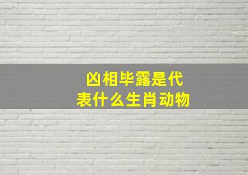 凶相毕露是代表什么生肖动物