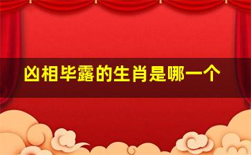 凶相毕露的生肖是哪一个