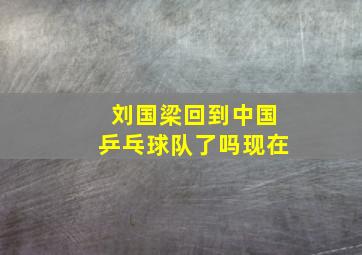 刘国梁回到中国乒乓球队了吗现在