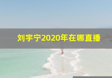 刘宇宁2020年在哪直播