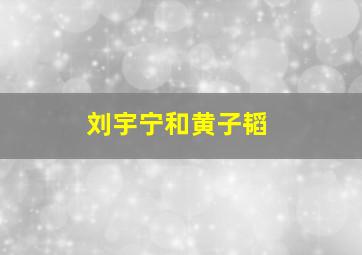 刘宇宁和黄子韬