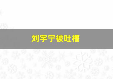 刘宇宁被吐槽