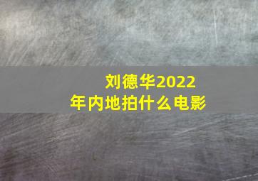 刘德华2022年内地拍什么电影