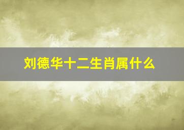 刘德华十二生肖属什么