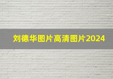 刘德华图片高清图片2024