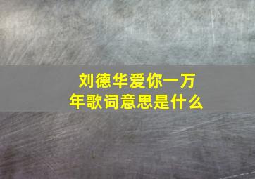 刘德华爱你一万年歌词意思是什么