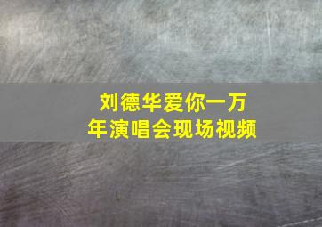 刘德华爱你一万年演唱会现场视频