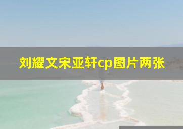 刘耀文宋亚轩cp图片两张