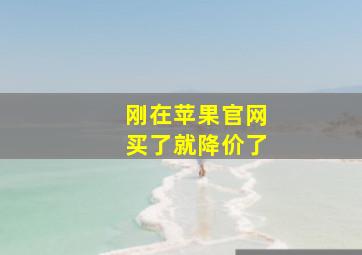 刚在苹果官网买了就降价了