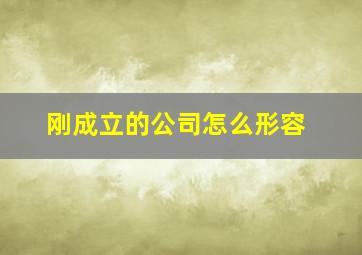 刚成立的公司怎么形容