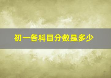 初一各科目分数是多少