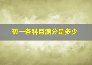 初一各科目满分是多少