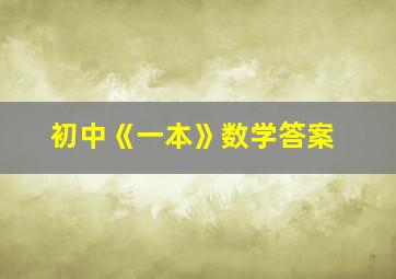 初中《一本》数学答案