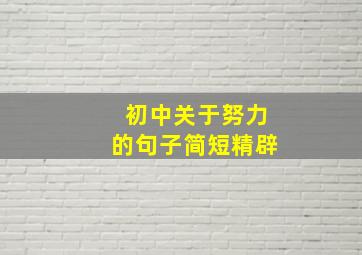 初中关于努力的句子简短精辟