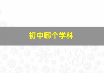 初中哪个学科