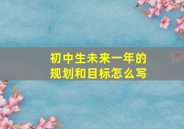 初中生未来一年的规划和目标怎么写