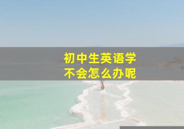 初中生英语学不会怎么办呢