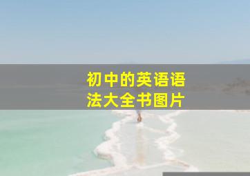 初中的英语语法大全书图片