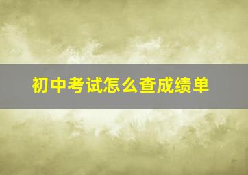 初中考试怎么查成绩单