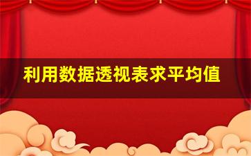 利用数据透视表求平均值