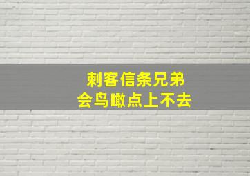 刺客信条兄弟会鸟瞰点上不去