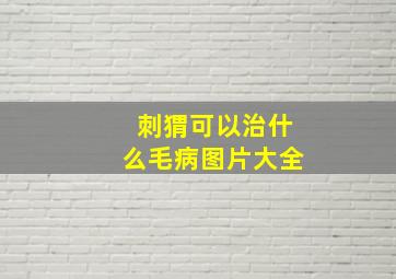 刺猬可以治什么毛病图片大全