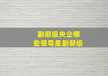 副部级央企哪些领导是副部级