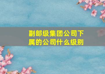 副部级集团公司下属的公司什么级别