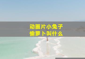 动画片小兔子偷萝卜叫什么