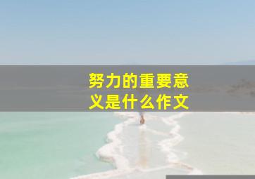 努力的重要意义是什么作文