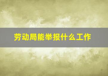 劳动局能举报什么工作