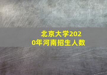 北京大学2020年河南招生人数