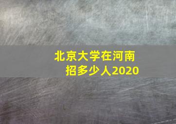 北京大学在河南招多少人2020