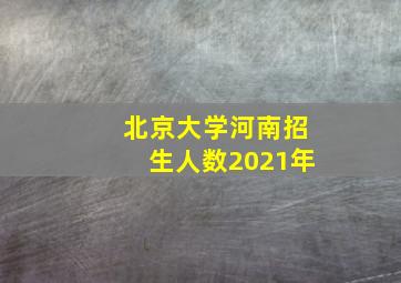 北京大学河南招生人数2021年