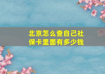 北京怎么查自己社保卡里面有多少钱